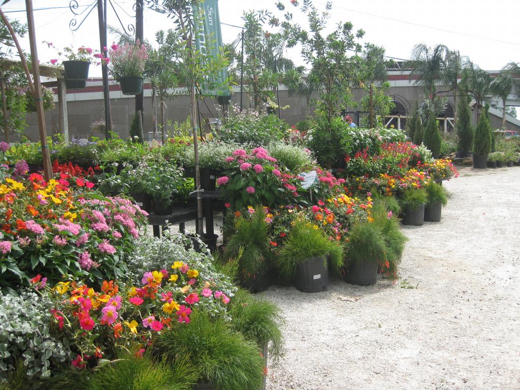 Rcw Nurseries Inc Houston TX 77086 2814405161 Nurseries